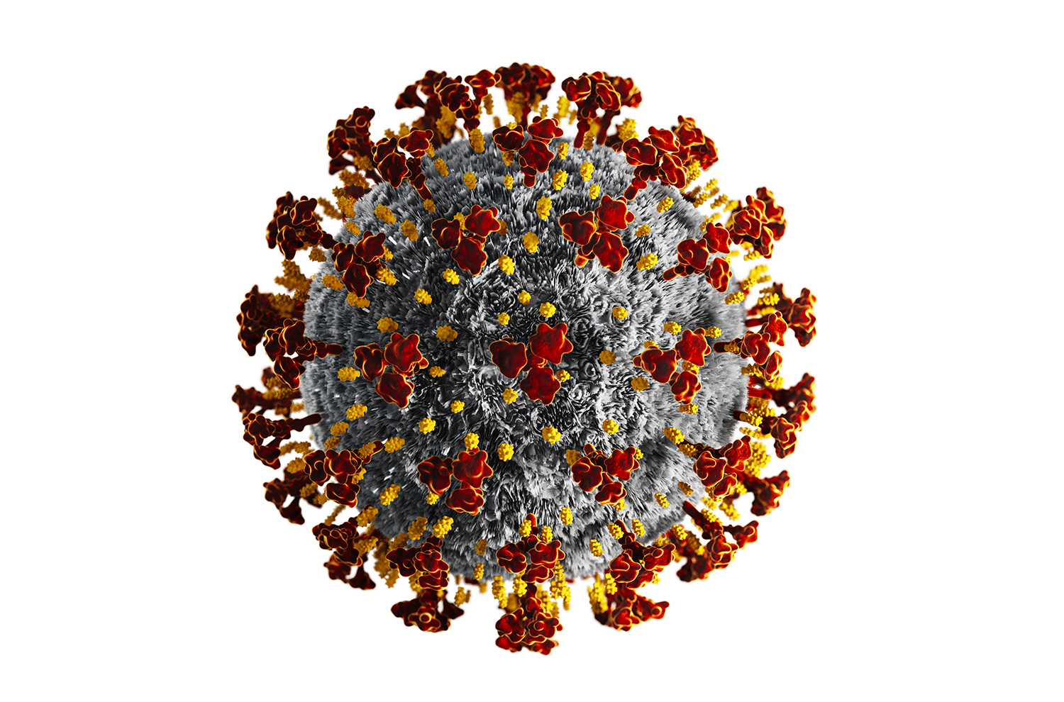 Coronvirus proteine di membrana