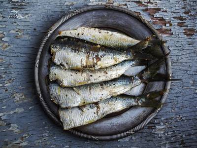 Thumb sardines 1489630 1920