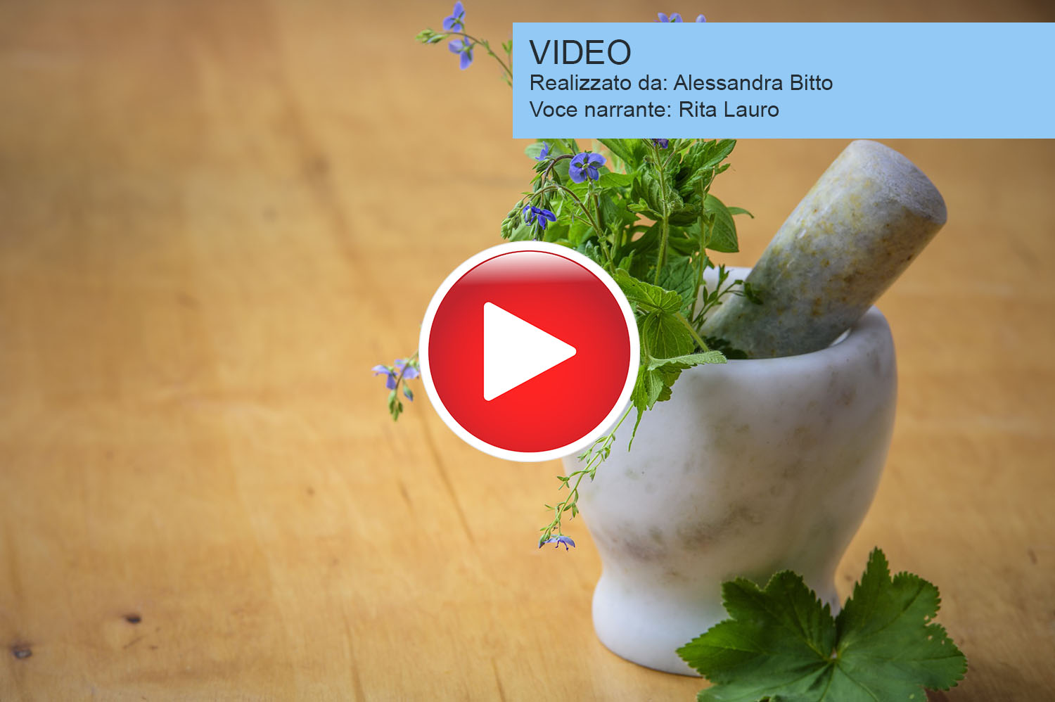 Coronavirus 4932607 1920