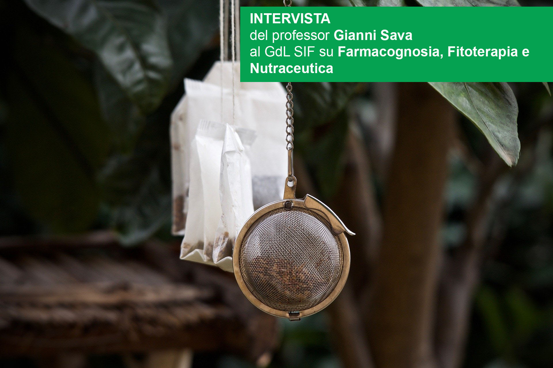 Tea bags 3817452 1920