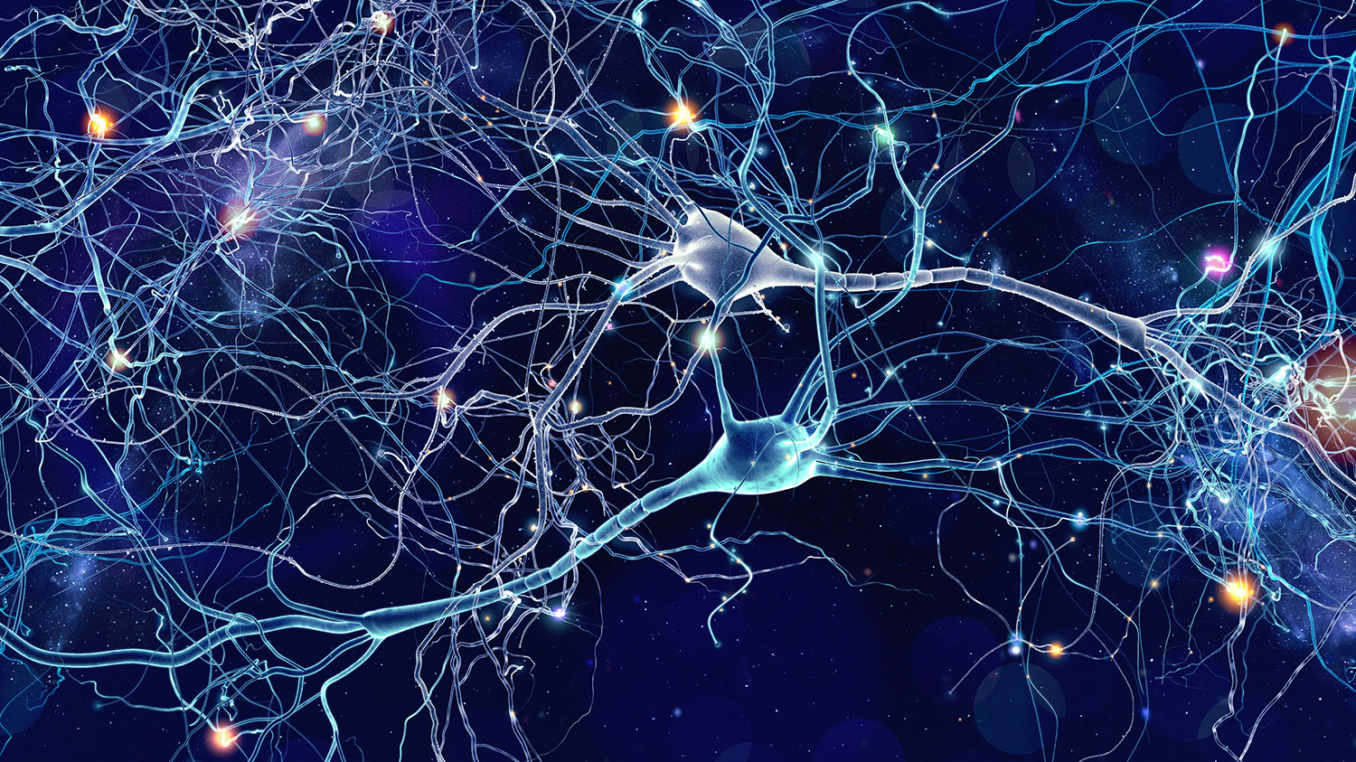 Neuroni