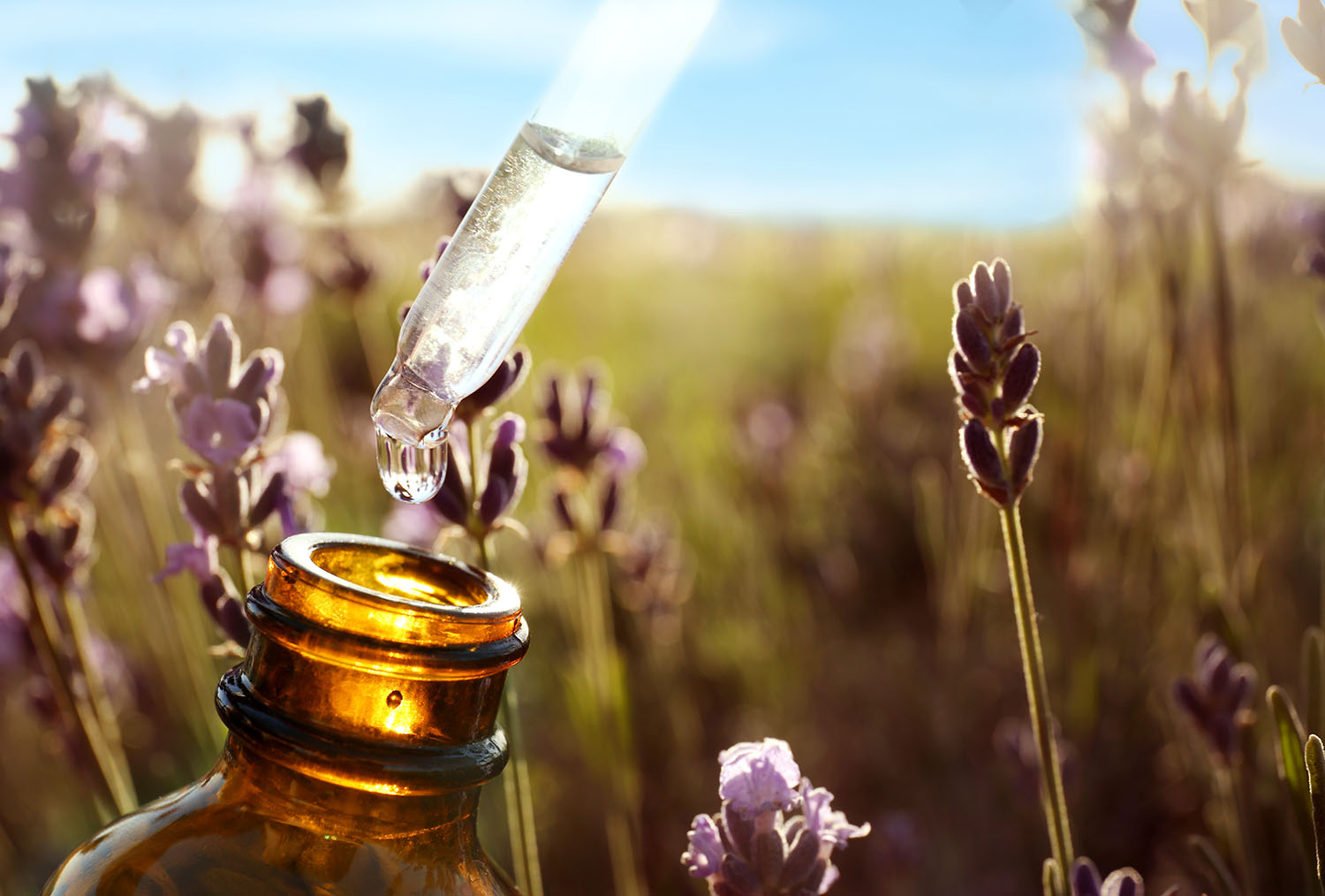 Botanicals integratori