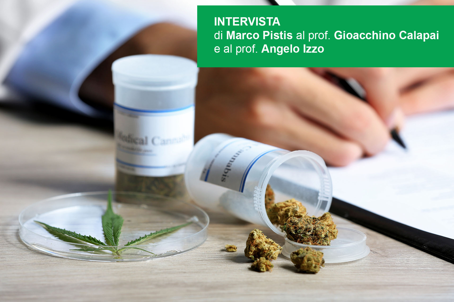 Cannabis intervista