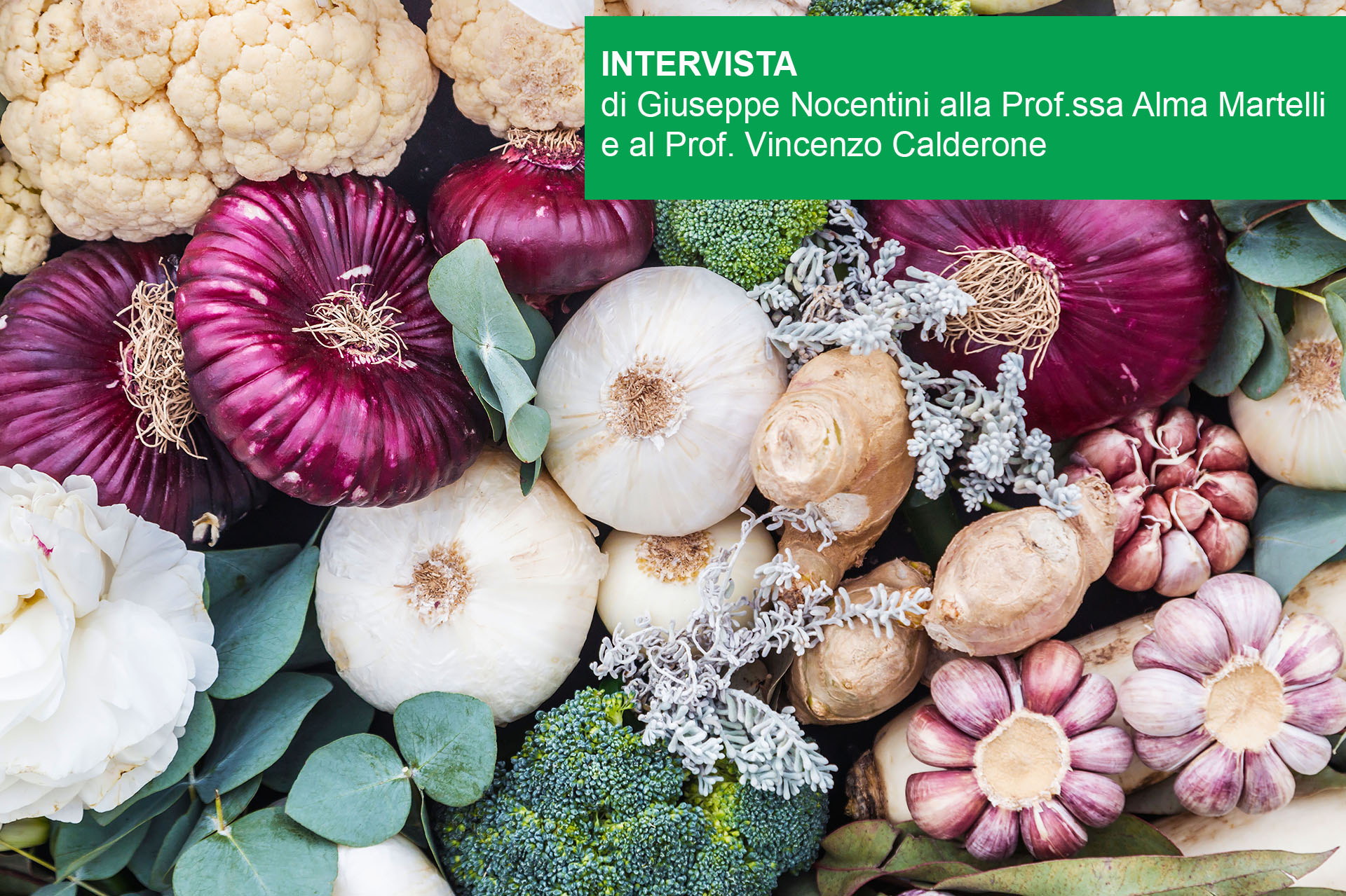 Aglio cipolla cavolo